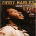 Love Is My Religion Live [CD/DVD]